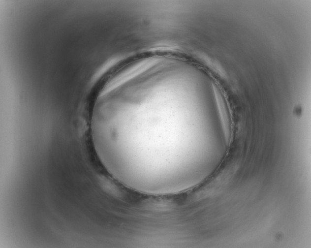 X0000102401400200808151933