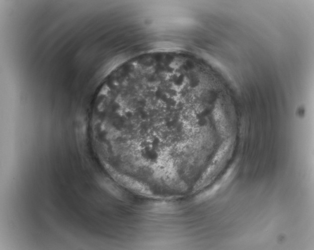 X0000102401401200808151933