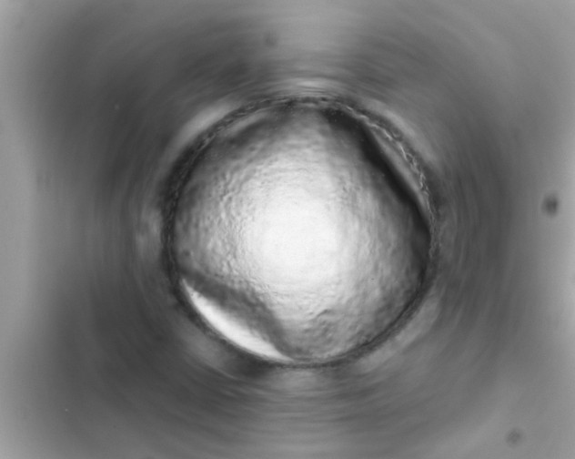 X0000102401402200808151933