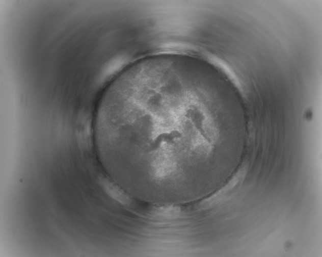 X0000102401403200808151933