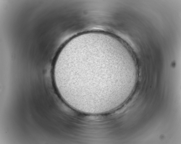 X0000102401404200808151933