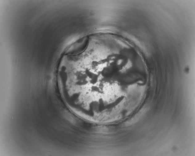 X0000102401405200808151933