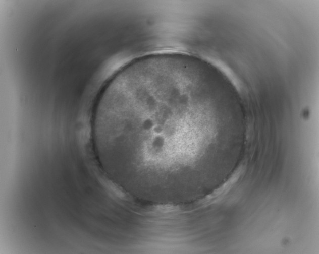 X0000102401407200808151933