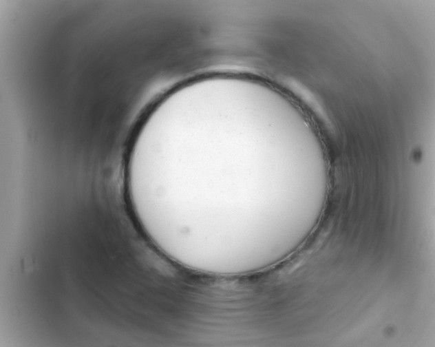 X0000102401408200808151933