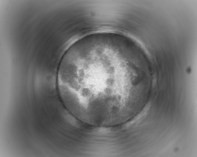 X0000102401409200808151933