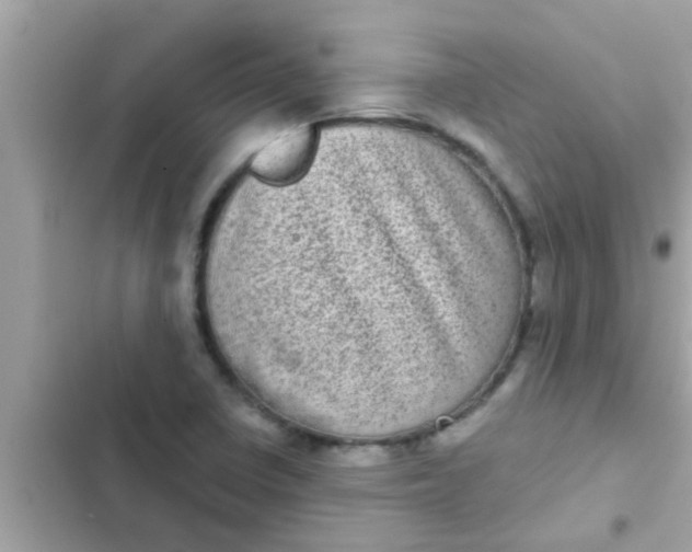 X0000102401410200808151933