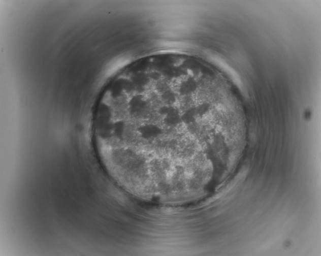 X0000102401411200808151933