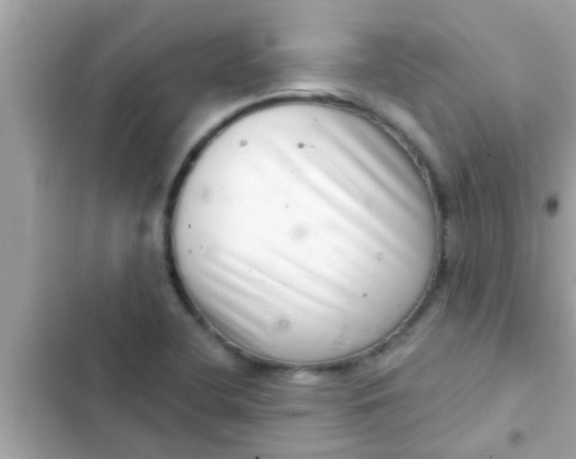 X0000102401412200808151933