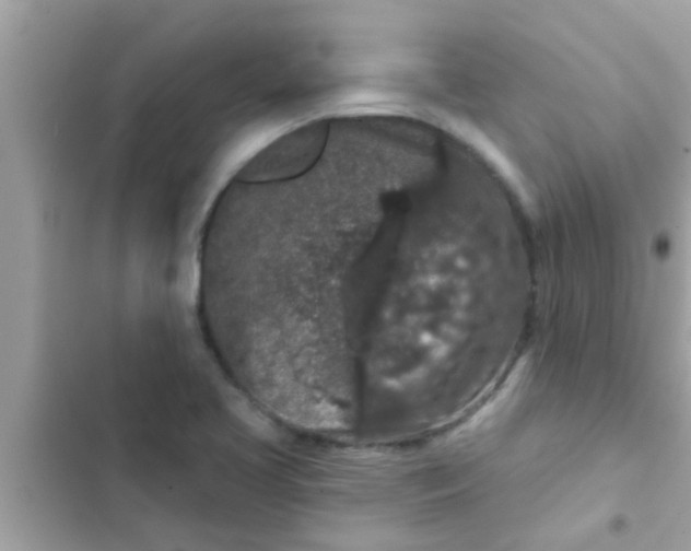 X0000102401413200808151933