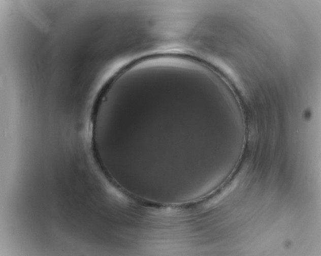 X0000102401414200808151933