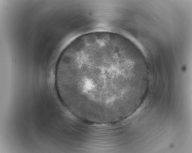 X0000102401415200808151933