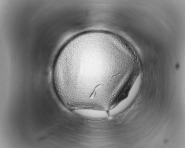 X0000102401416200808151933