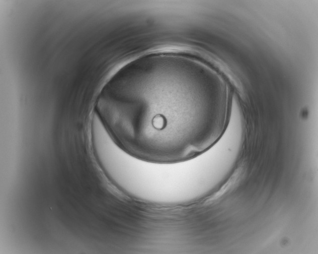 X0000102401417200808151933