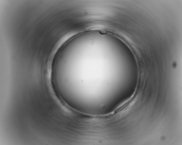 X0000102401418200808151933