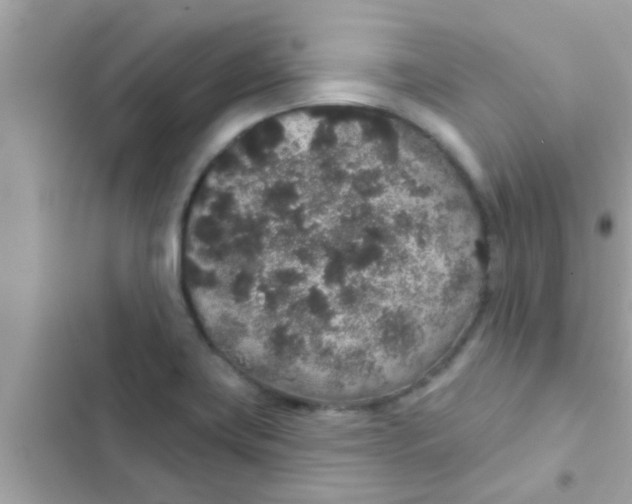 X0000102401419200808151933