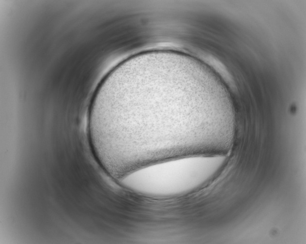 X0000102401420200808151933