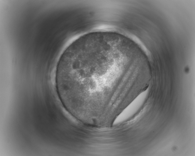 X0000102401421200808151933