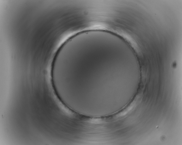 X0000102401422200808151933