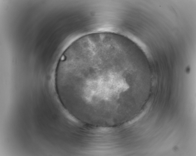 X0000102401423200808151933