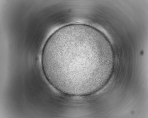 X0000102401424200808151933