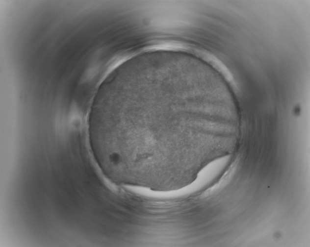 X0000102401425200808151933