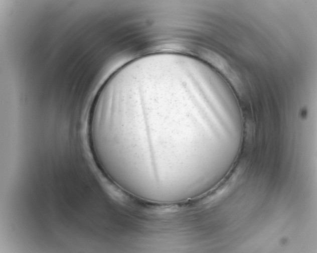 X0000102401426200808151933