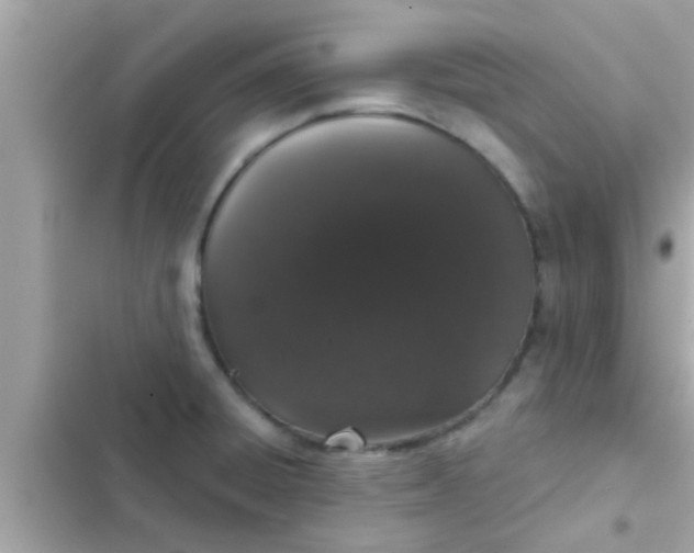 X0000102401428200808151933