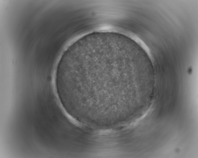 X0000102401429200808151933