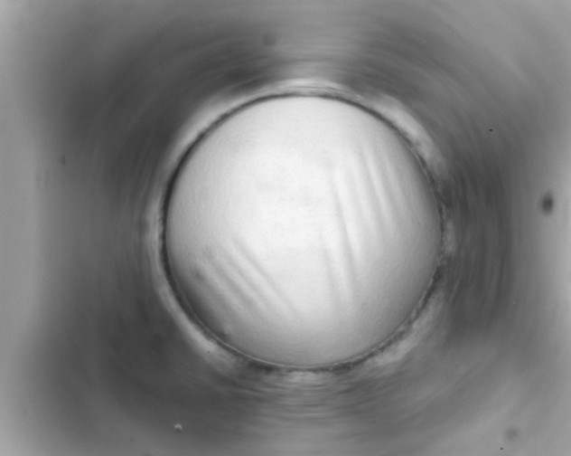 X0000102401430200808151933