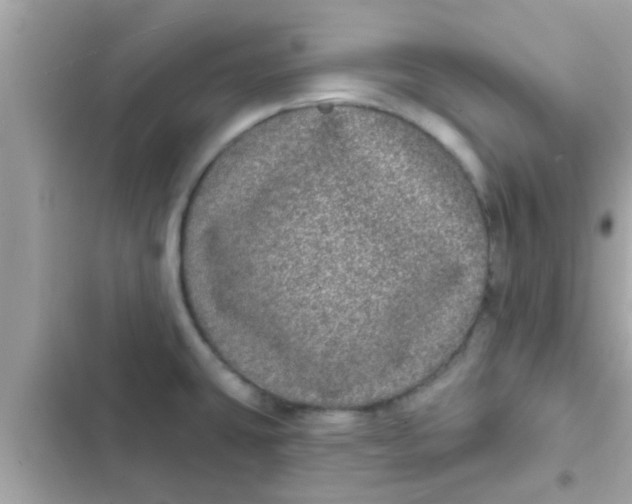 X0000102401431200808151933