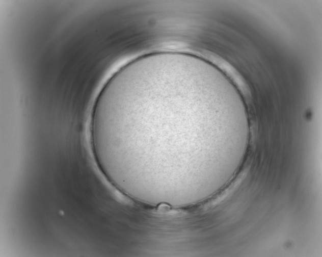 X0000102401432200808151933