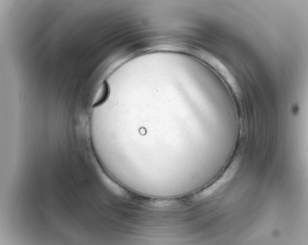 X0000102401433200808151933