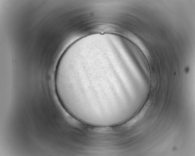 X0000102401434200808151933