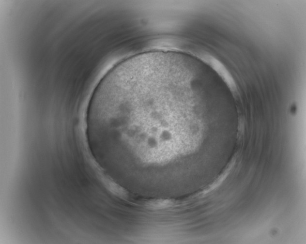 X0000102401435200808151933