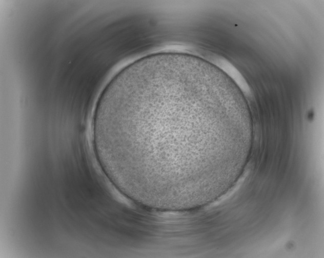 X0000102401436200808151933