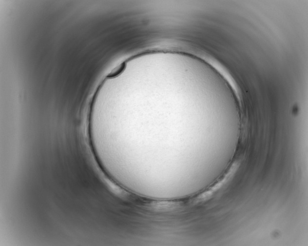 X0000102401437200808151933