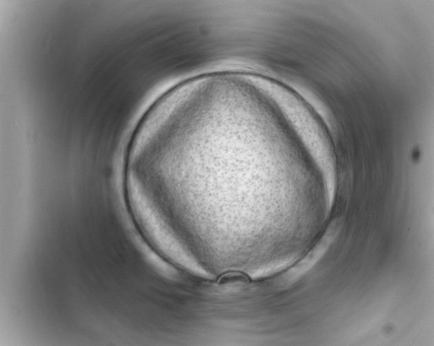 X0000102401438200808151933