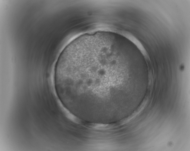 X0000102401439200808151933