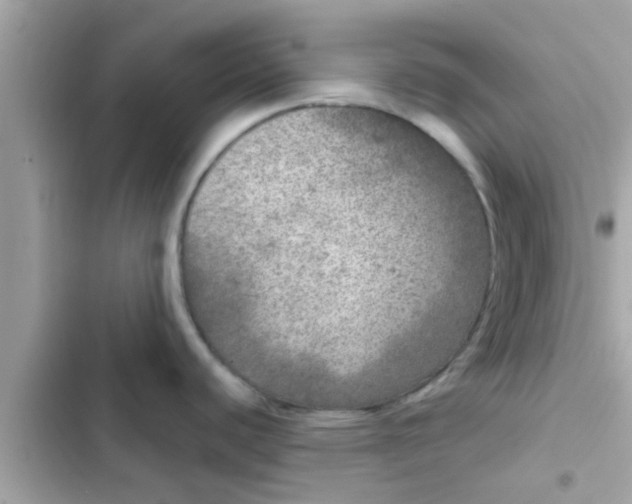 X0000102401440200808151933