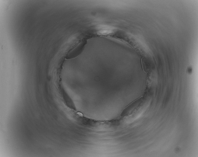 X0000102401441200808151933