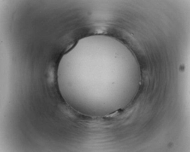 X0000102401442200808151933