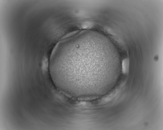 X0000102401443200808151933