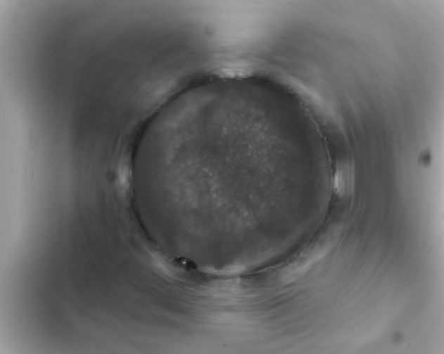 X0000102401444200808151933