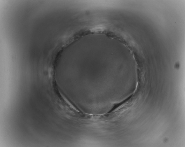 X0000102401445200808151933