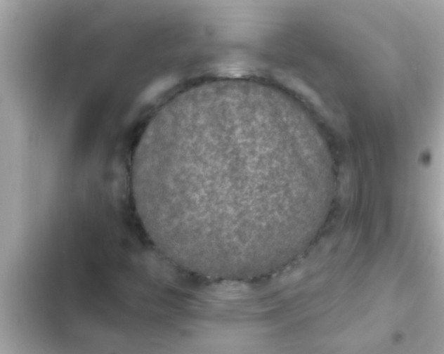 X0000102401446200808151933