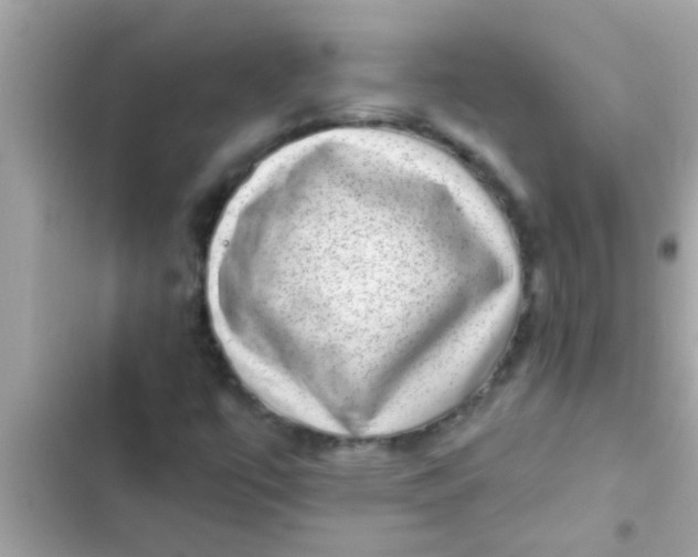 X0000102401447200808151933