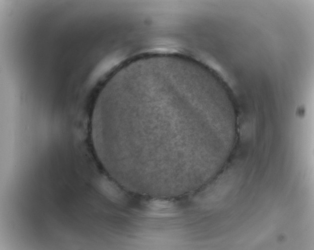 X0000102401448200808151933