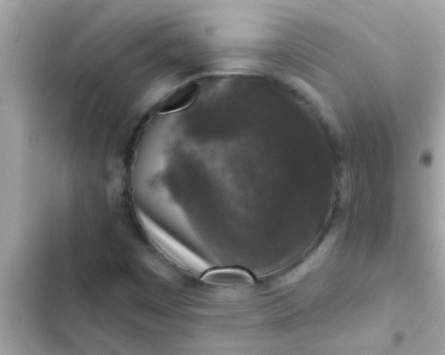 X0000102401449200808151933