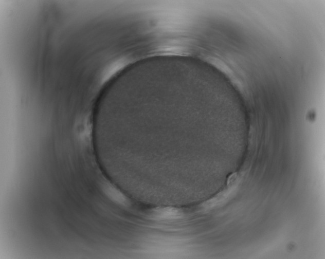 X0000102401450200808151933