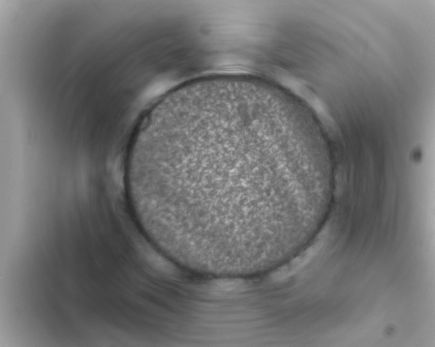 X0000102401451200808151932